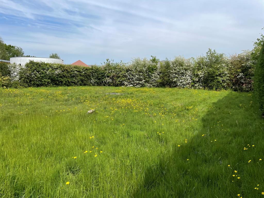 Lot: 81 - LAND WITH CONSENT FOR DETACHED DWELLING - View of plot from opposite boundary
